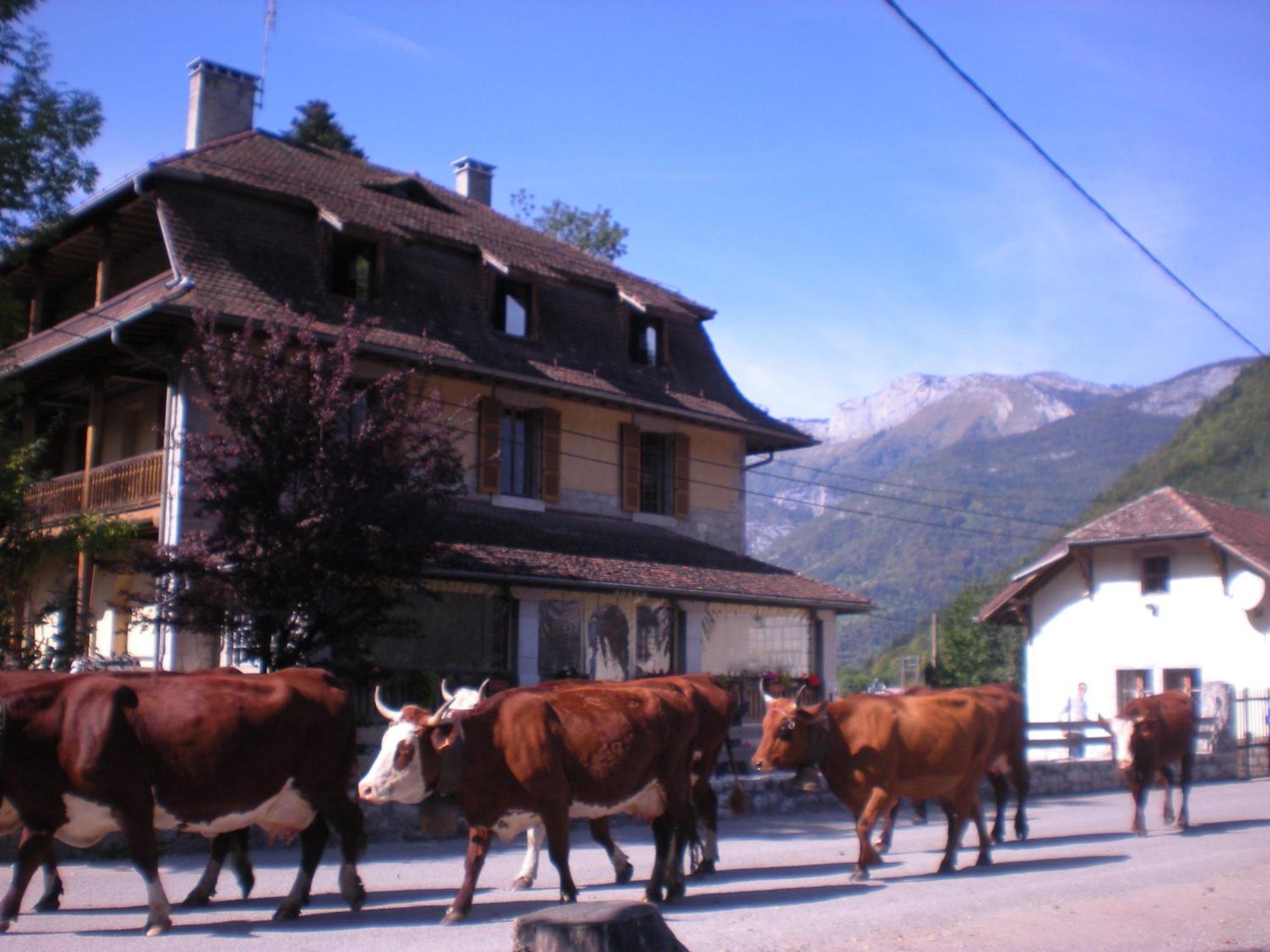 Gite Les Mesanges Thones Exterior photo